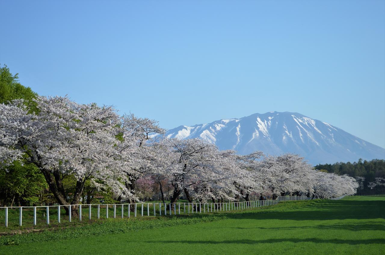 Haiji Shizukuishi المظهر الخارجي الصورة